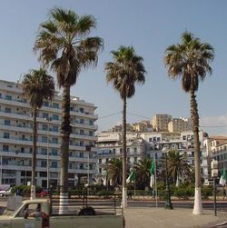 Eine Straße in Algiers