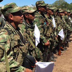 Soldaten der FARC geben ihre Waffen ab